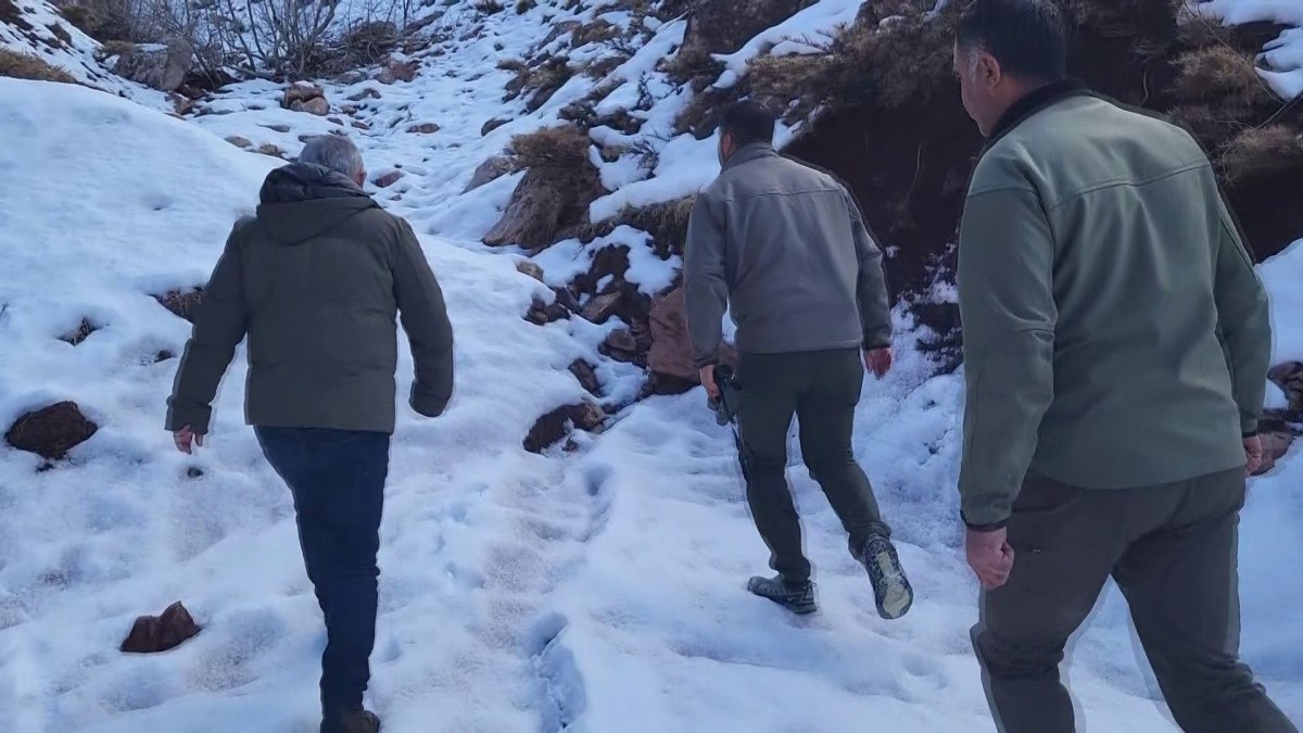 adiyamanda yaban kecisi avlayanlara tazminat cezasi 1 YAstv3Za