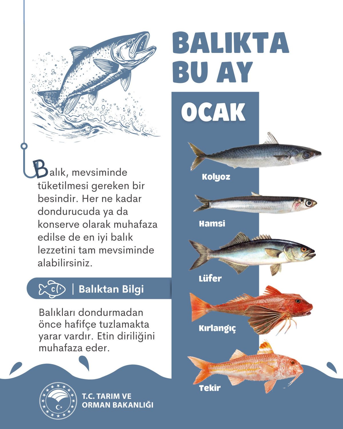 bakanlik acikladi ocak ayinda tuketilecek baliklar 5