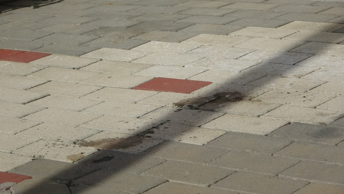 canakkalede restoratorun supheli olumunden tutuklanan profesor es savunma yapti 2 PP8CamnP