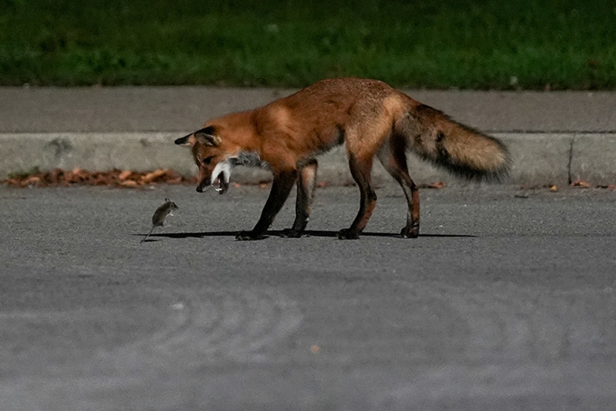 galatasaray teknik direktoru okan burukun tercihi buruk bakis oldu 3 Yu95S81h