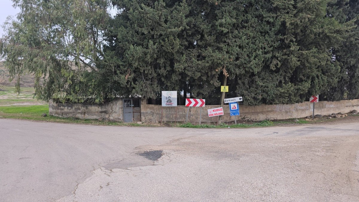 hatayda kuduz kopegin isirdigi cocuk isirmaz sandim ama aniden saldirdi 2 5tf93ISf
