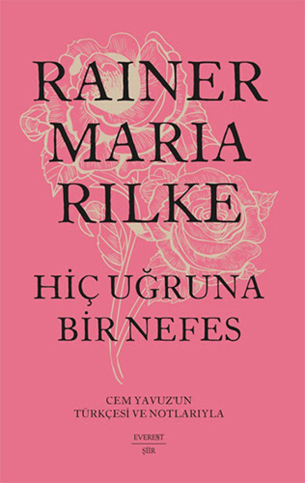 insan ruhuna caginin otesinden hitap eden sair rainer maria rilke 3 eWPZfruN