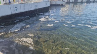 İstanbul'da denizin dibinde korkutan müsilaj manzarası 5 istanbulda denizin dibinde korkutan musilaj manzarasi 4 bOe3se9X