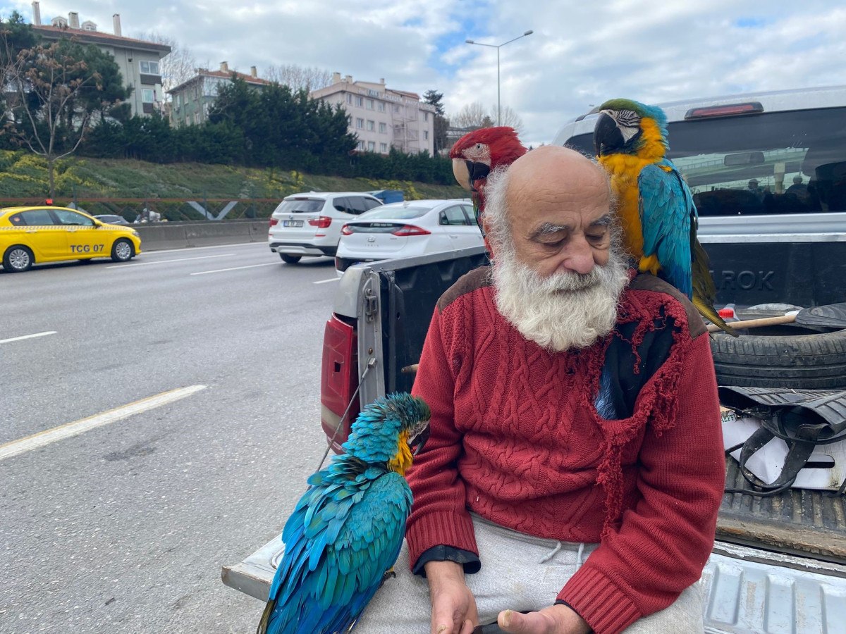 istanbulun papaganli amcasi beni goren her vatandas fotograf cektirmek istiyor 1 dQdQbTGJ