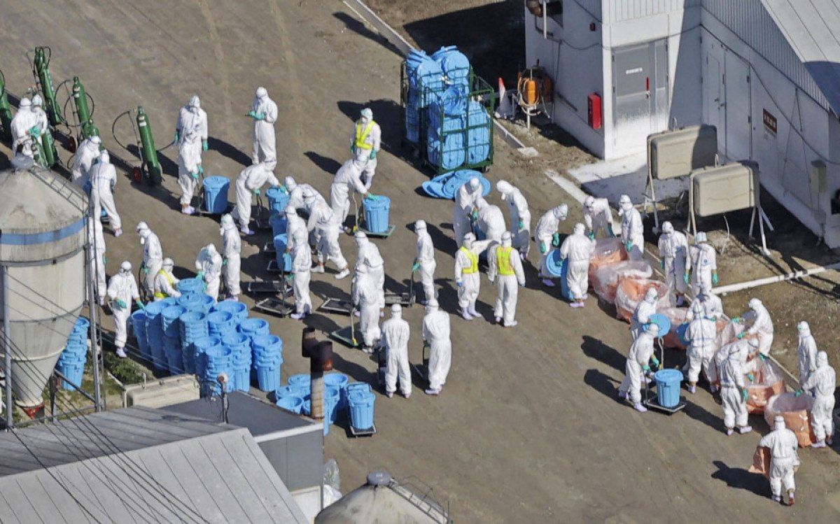 japonyada kus gribi alarmi 17 milyon tavuk olduruldu 3 1YhuBzqp