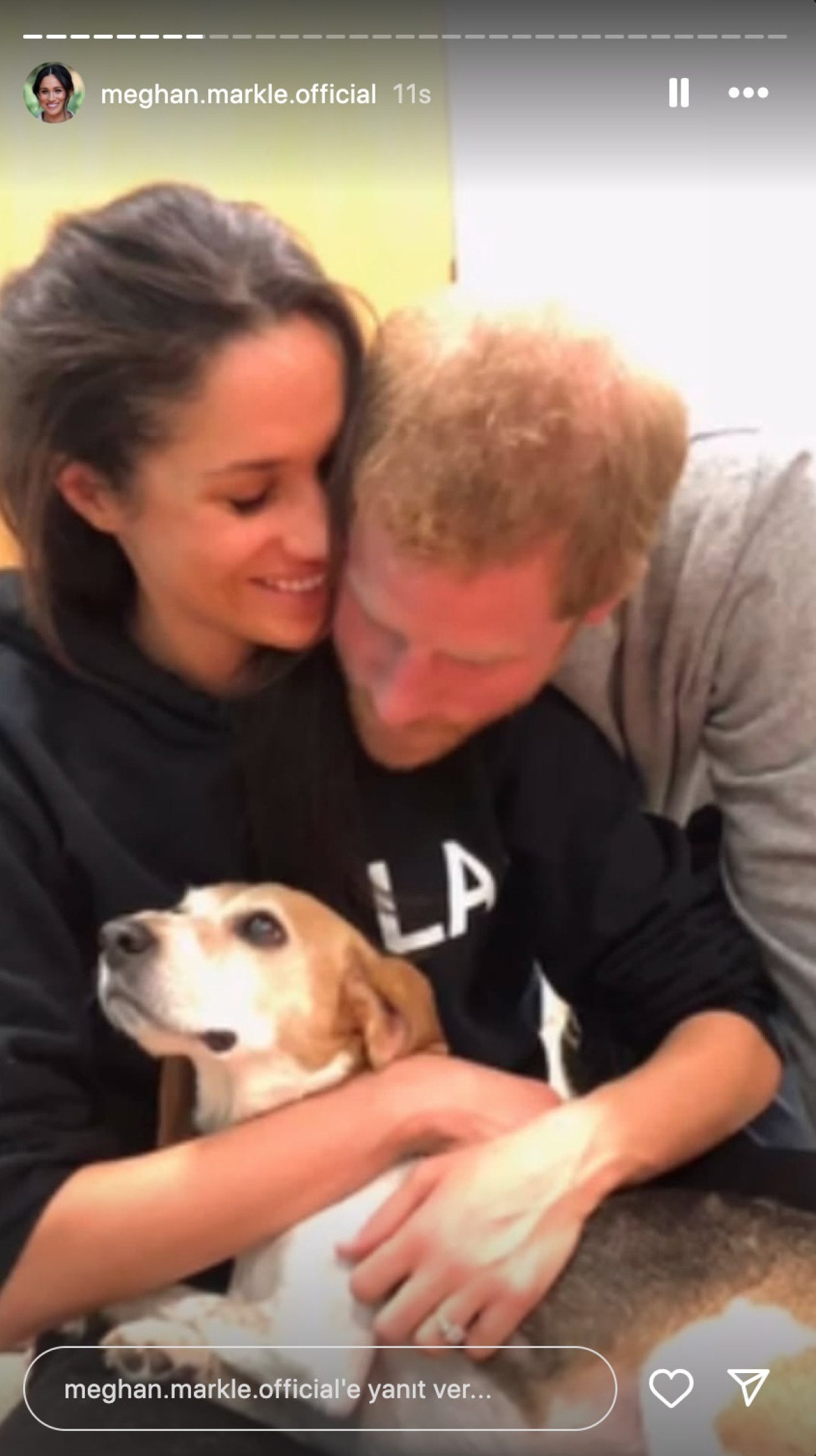 meghan markle kopegini kaybetti tatli adamim 0 ACHzqqss