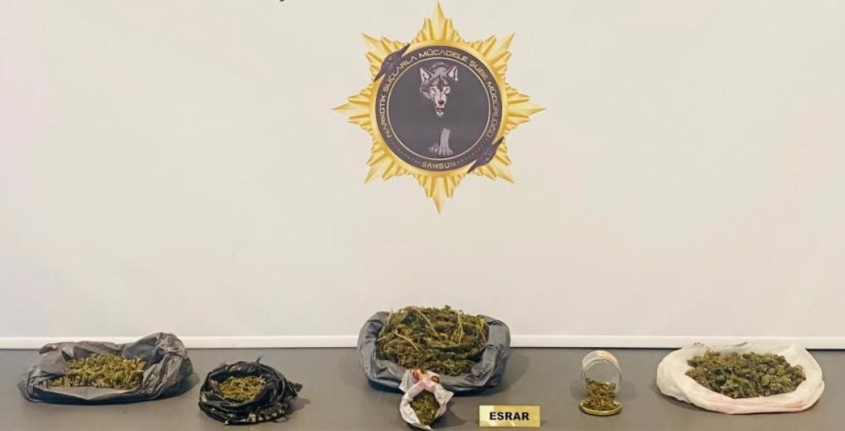 samsunda 500 gram esrarla yakalandi gozaltina alindi 0 lMKuEirb