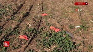 Anasayfa 7 adanada 2 cocuk annesi genc kadini sevgilisi infaz etti IqIKfXGC