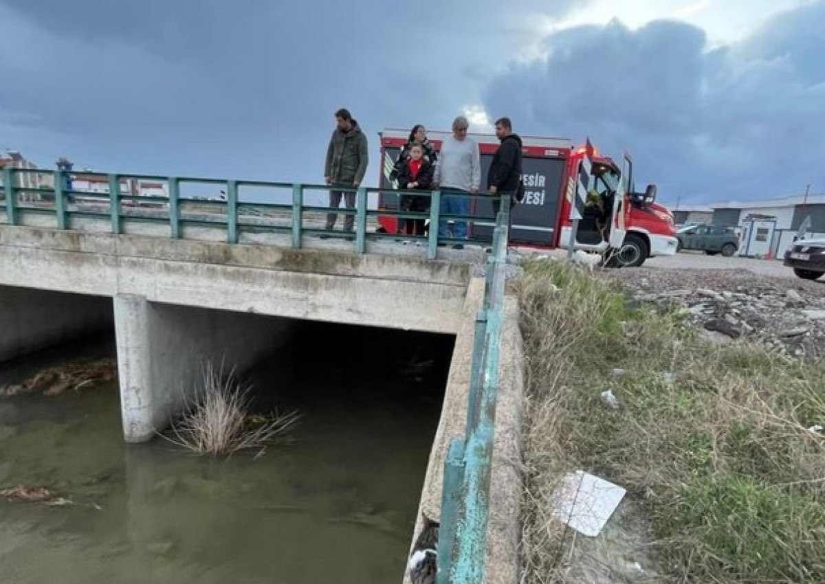 balikesirde kopru altinda mahsur kalan kedi kurtarildi 2 H3urhwZQ