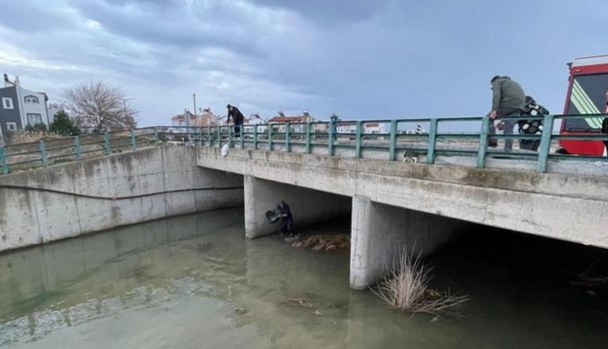 balikesirde kopru altinda mahsur kalan kedi kurtarildi 3 RcKKiN99