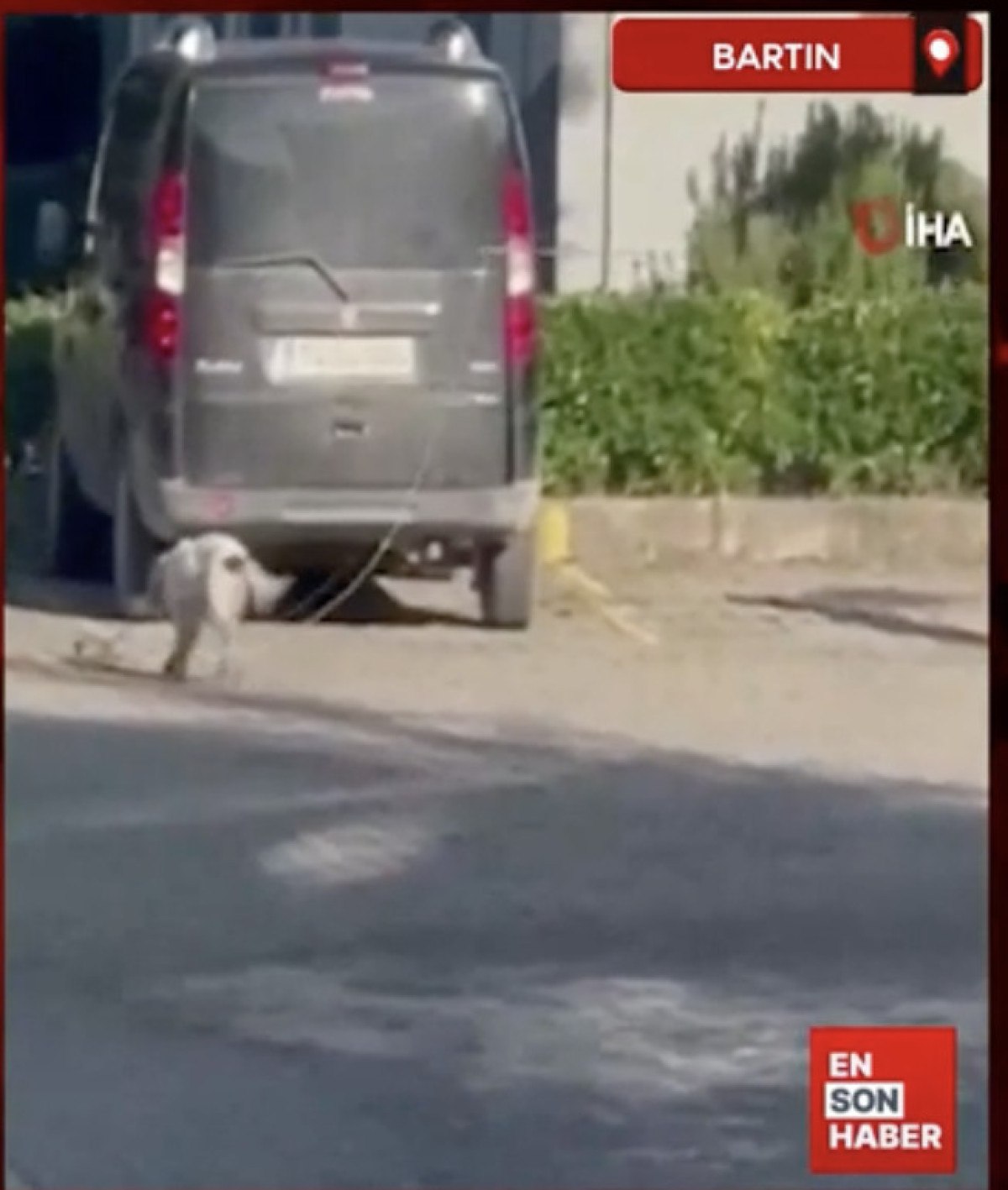 bartinda misinaya bagladigi guvercinle kopegini egiten sahistan aciklama 0 mNQpdXM1