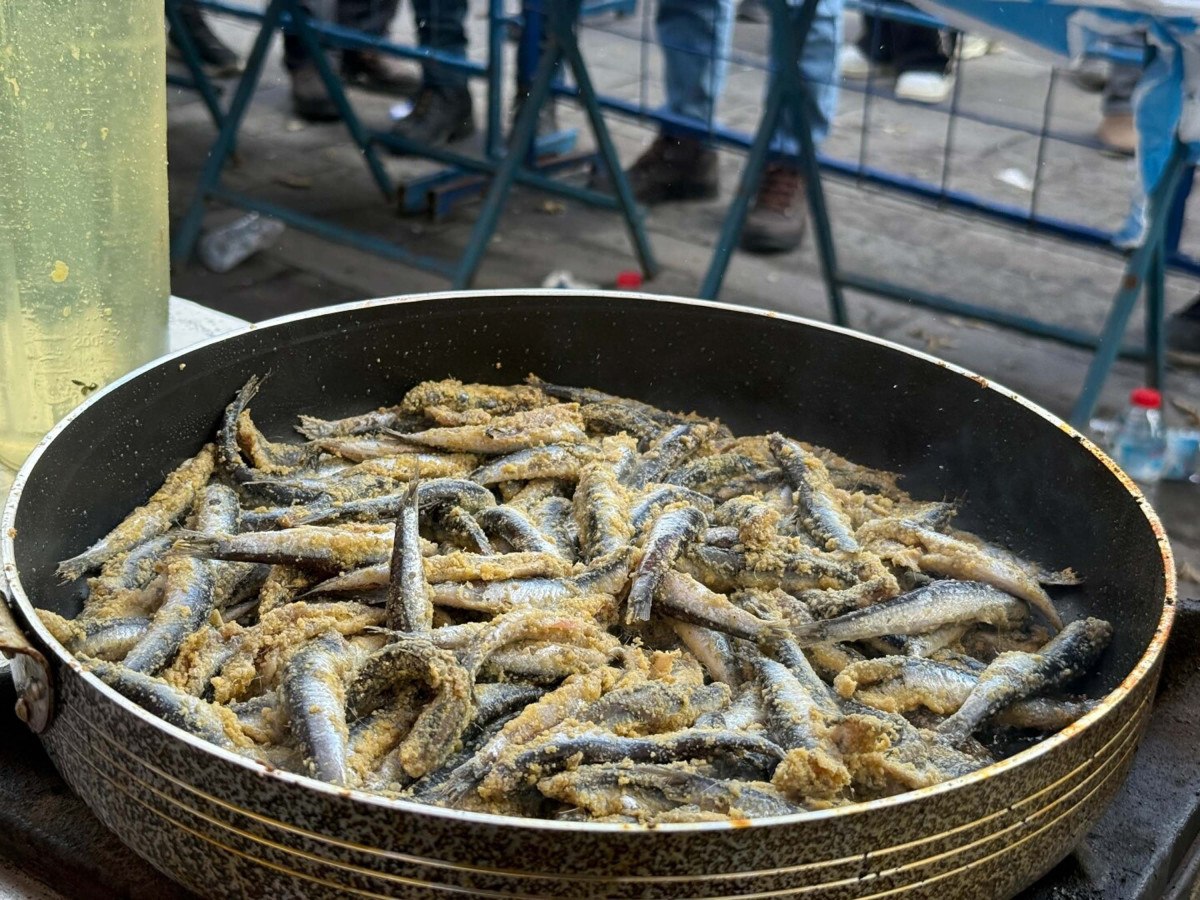 bodrumda hamsi festivali 3 ton hamsi dagitildi 0 2yT4qiGl