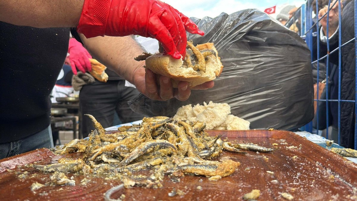 bodrumda hamsi festivali 3 ton hamsi dagitildi 2 iJmNF96w
