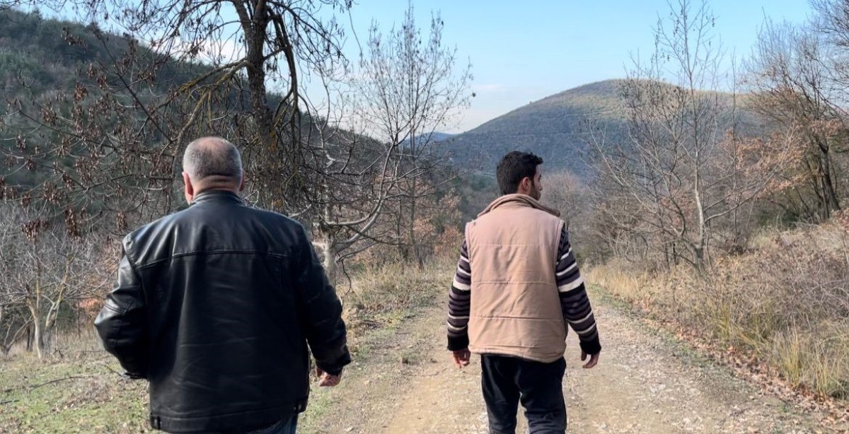 bursada 750 yillik safkan yerli hayvanlar telef oldu 0