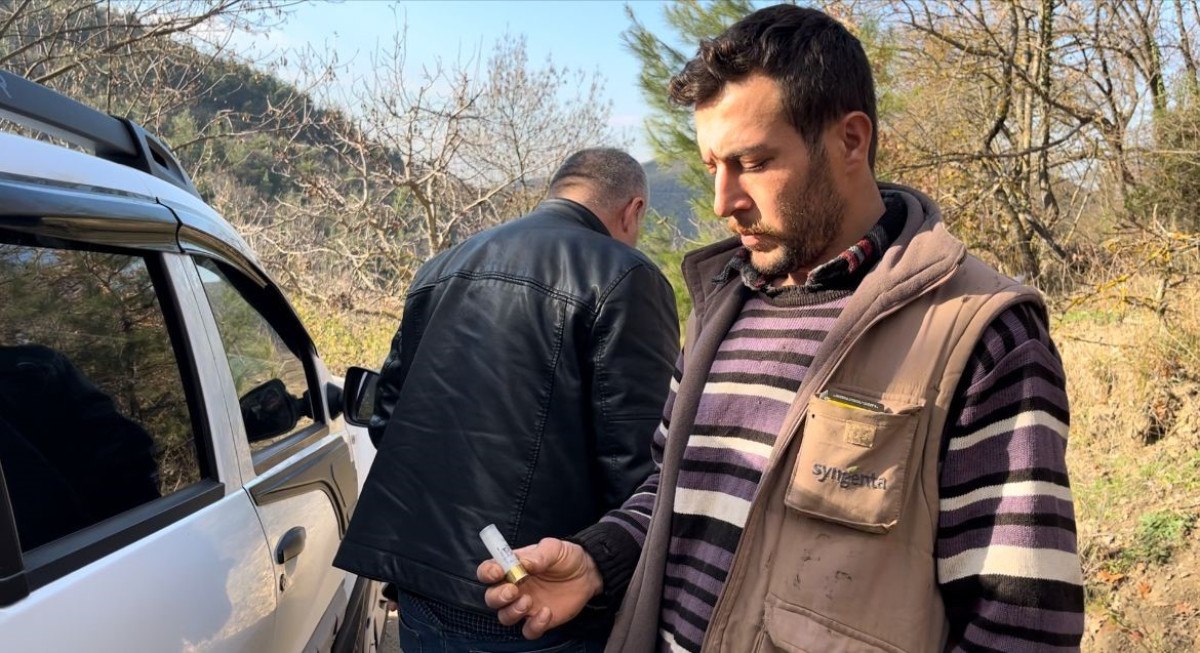 bursada 750 yillik safkan yerli hayvanlar telef oldu 5 fUcktlnA