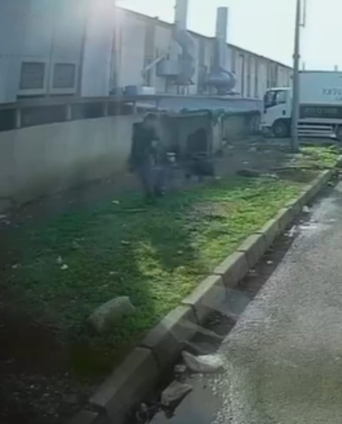 bursada basibos kopegin saldirisina ugradi 1 17ZpdSmv