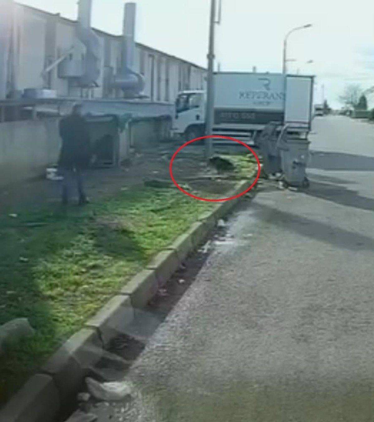 bursada basibos kopegin saldirisina ugradi 2 tggepvyN