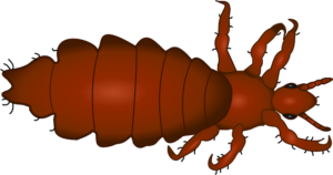 Diyarbakır Evden Eve Nakliyede Güvenli Taşınmanın Adresi