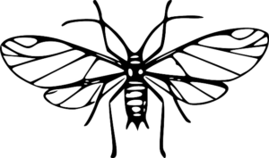 Diyarbakır Evden Eve Nakliyede Paketleme Sürecinde Uzman Yaklaşımlar