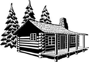 Diyarbakır Evden Eve Nakliyede Taşıma Sürecine Dair Merak Edilenler