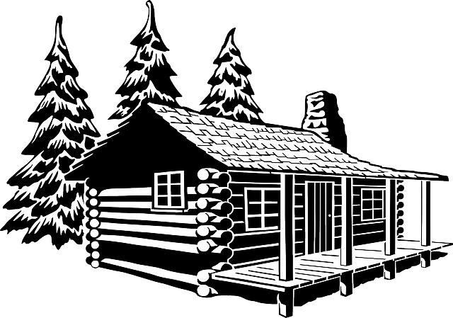 Diyarbakır Evden Eve Nakliyede Taşıma Sürecine Dair Merak Edilenler