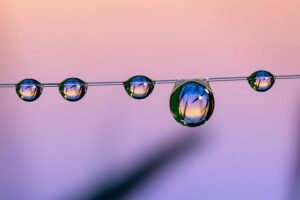 Diyarbakır Evden Eve Nakliyede Taşıma Sürecini Kolaylaştırma Yöntemleri