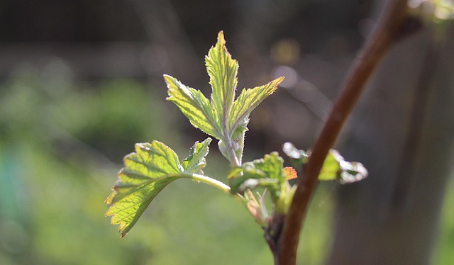 Diyarbakır Nakliyat Firmalarından En İyi Fiyatı Alma Yöntemleri