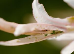 Diyarbakır Nakliyat Hizmetlerinde Eşyalarınızı Güvende Tutma Yöntemleri