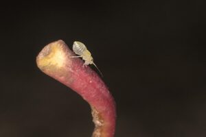 Diyarbakır Nakliyat Hizmetlerinde Eşyalarınızı Sigortalı Taşıma Seçenekleri