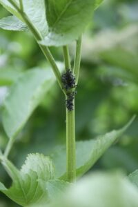Anasayfa 5 Diyarbakır Nakliyat Hizmetlerinde Fiyat ve Kalite Dengesi