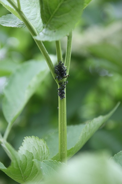 Diyarbakır Nakliyat Hizmetlerinde Fiyat ve Kalite Dengesi Diyarbakır Nakliyat Hizmetlerinde Fiyat ve Kalite Dengesi