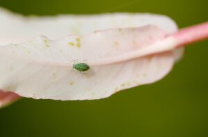 Diyarbakır Nakliyat Hizmetlerinde Kaliteli ve Güvenli Taşımacılık Çözümleri
