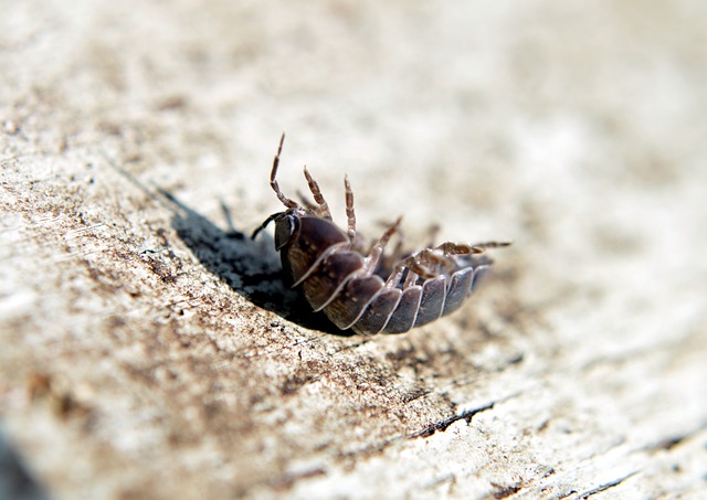 Diyarbakır Nakliyat Hizmetlerinde Lojistik Sürecin Önemi