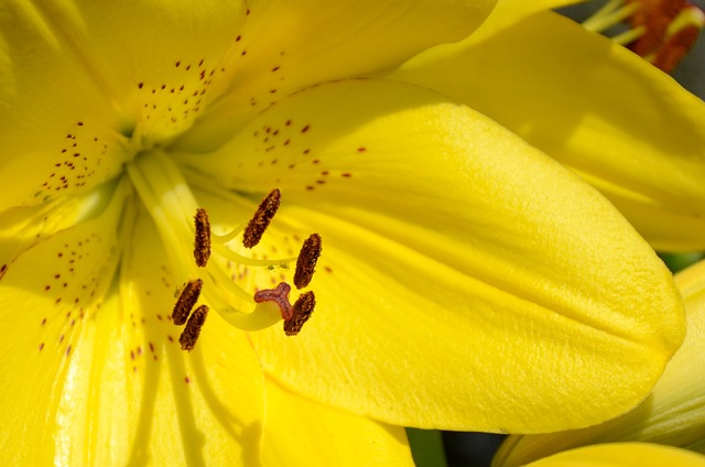 Diyarbakır Nakliyat Hizmetlerinde Sorunsuz ve Hızlı Çözümler