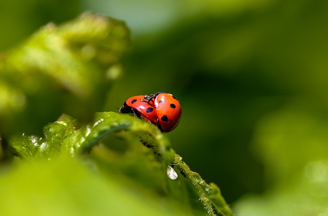 Diyarbakır Nakliyat Hizmetlerinde Teknolojik Destek ve Yenilikler