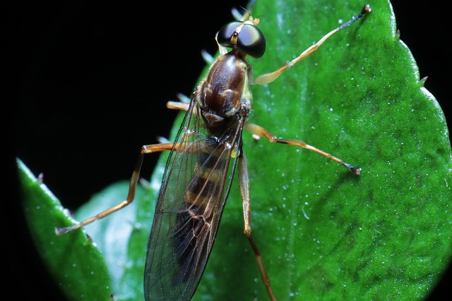 Diyarbakır Nakliyat Şirketleri ile Taşınma Süreci Diyarbakır Nakliyat Şirketleri ile Taşınma Süreci