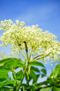 Diyarbakır Nakliyat Şirketlerinde Lojistik Destek ve Planlama