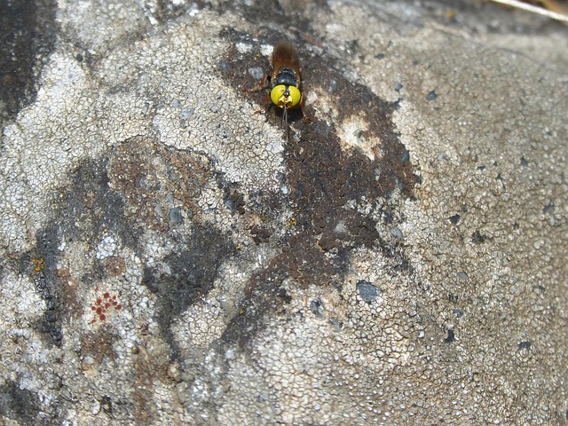 Diyarbakır Nakliyat Şirketlerinden Hizmet Alırken Nelere Dikkat Edilmeli?