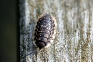 Diyarbakır Nakliye Hizmetlerinde Çözüm Odaklı Yaklaşımlar