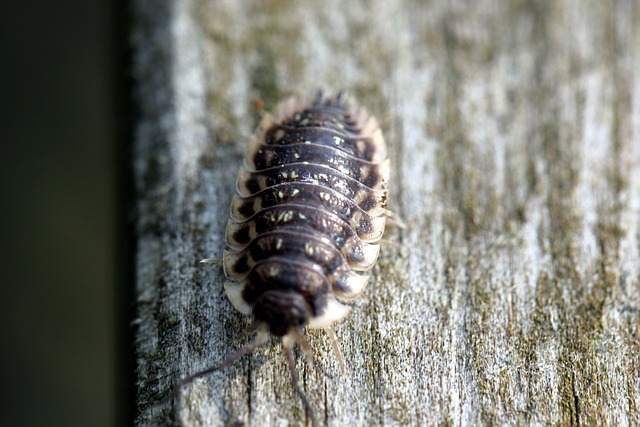 Diyarbakır Nakliye Hizmetlerinde Profesyonel Ekip ve Araç Desteği