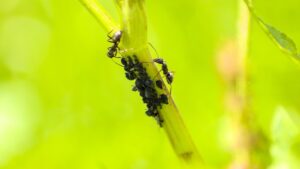 Diyarbakır Nakliyede Fiyat Karşılaştırması Yapmanın Önemi