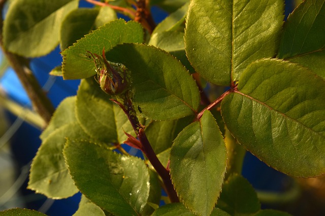 Diyarbakır Nakliyede Fiyat Karşılaştırması Yapmanın Önemi