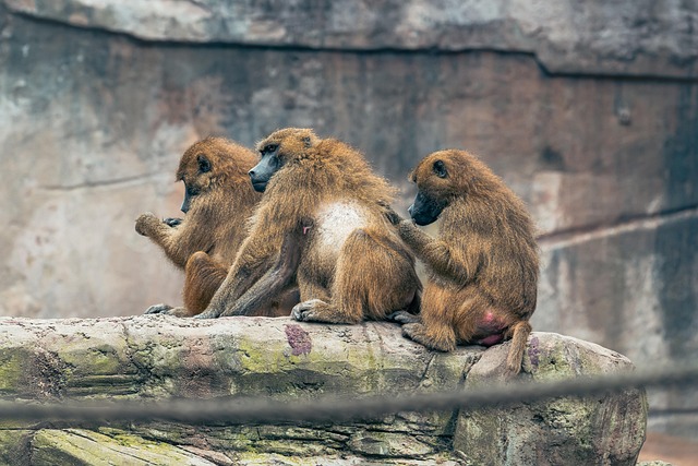 Diyarbakır Nakliyede Fiyat Performans Karşılaştırması Nasıl Yapılır?