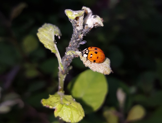 Diyarbakır Nakliyede Paketleme ve Taşıma Hizmetleri