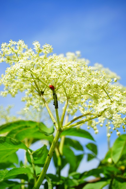 Diyarbakır Nakliyede Paketleme ve Taşıma Hizmetleri