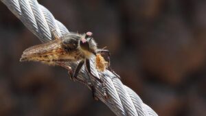 Diyarbakır Nakliyede Profesyonel Hizmet Sunan Şirketlerin Listesi