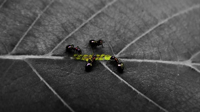 Diyarbakır Nakliyede Profesyonel Hizmet Sunan Şirketlerin Listesi Diyarbakır Nakliyede Profesyonel Hizmet Sunan Şirketlerin Listesi