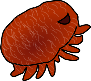 Diyarbakır Nakliyede Profesyonel Hizmet Veren Şirketler