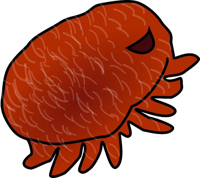 Diyarbakır Nakliyede Profesyonel Hizmet Veren Şirketler