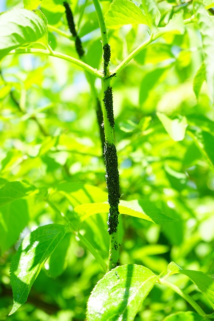 Diyarbakır Nakliyede Profesyonel Paketleme ve Taşıma Hizmetleri